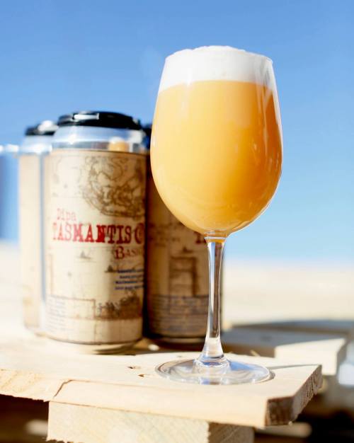 A glass of hazy beer with a frothy top, set against a blue sky, with beer cans in the background.