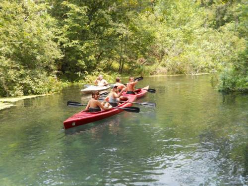 Four people kayaking on a calm, green river surrounded by lush trees and vegetation.