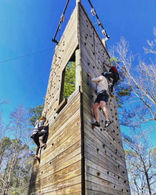 Two climbers ascend a tall wooden climbing wall against a clear blue sky, surrounded by trees.
