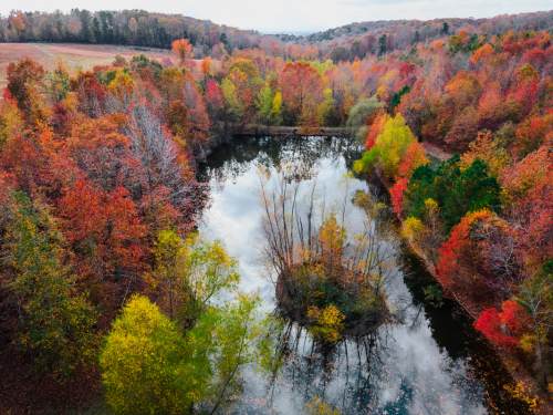 Aerial view of a serene pond surrounded by vibrant autumn foliage in shades of red, orange, and yellow.