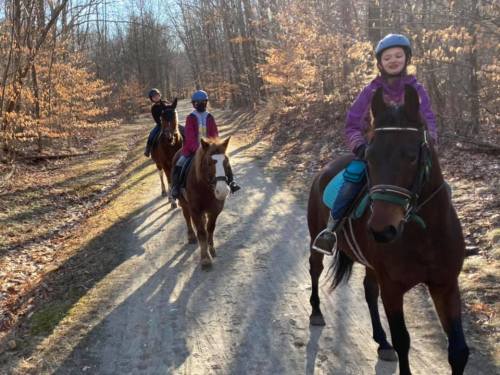 Three riders on horseback trail through a wooded area with autumn leaves, enjoying a sunny day.