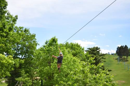 A person zip-lining through lush green trees on a sunny day, with a clear blue sky in the background.