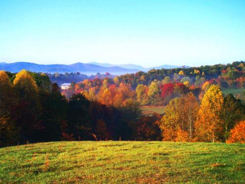 A scenic view of rolling hills covered in vibrant autumn foliage under a clear blue sky.