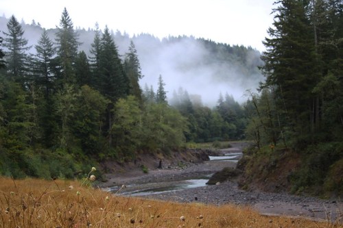 A misty river flows through a forested landscape, surrounded by tall trees and dry grass.