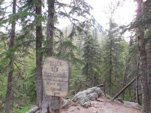 Sign for Black Elk Wilderness in the Black Hills National Forest, surrounded by tall pine trees and rocky terrain.
