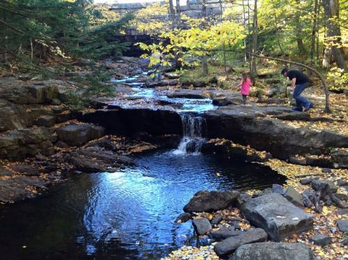 A small waterfall flows over rocks in a forested area, with a child and an adult exploring nearby. Autumn leaves are scattered.