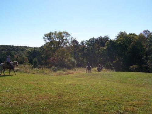 Two horseback riders traverse a grassy field surrounded by trees under a clear blue sky.