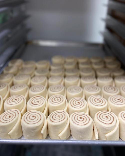 A tray of uncooked cinnamon rolls arranged neatly, showcasing their spiral shapes.