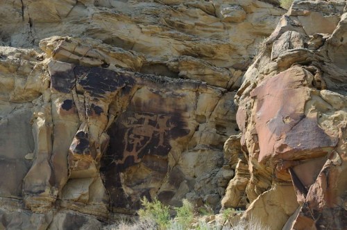 Ancient petroglyphs carved into rocky cliffs, showcasing intricate designs against a natural stone backdrop.