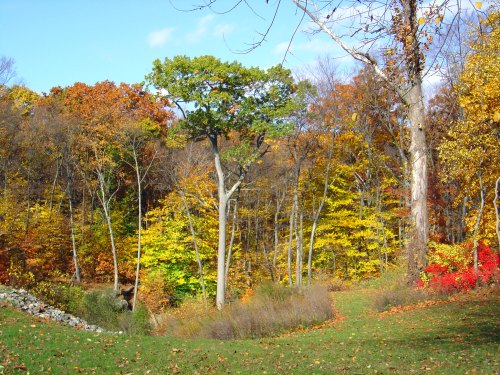 A vibrant autumn landscape with colorful trees in shades of yellow, orange, and red under a blue sky.