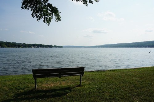 A serene lakeside view with a wooden bench overlooking calm waters and distant hills under a clear sky.