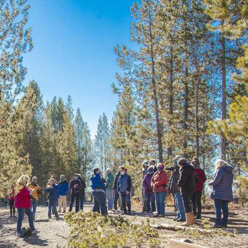 A group of people gathered in a forest, surrounded by tall trees and clear blue skies, engaging in an outdoor activity.