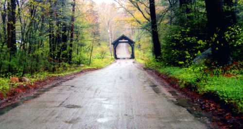 A serene, wet road leads to a covered bridge surrounded by lush greenery and trees in a misty atmosphere.