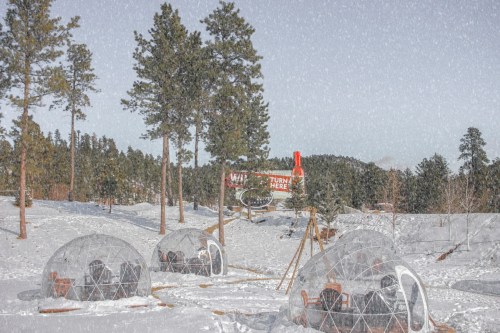 Snowy landscape featuring transparent igloos surrounded by pine trees and a sign in the background.