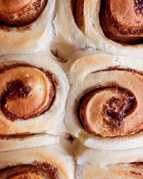 Close-up of freshly baked cinnamon rolls with swirls of cinnamon and sugar on a soft, golden-brown dough.