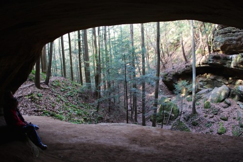 A view from inside a cave, looking out at a forested area with trees and rocky formations.