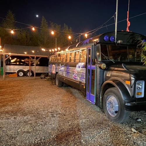 A vintage bus parked in a dimly lit area, surrounded by trees and string lights, with a trailer in the background.