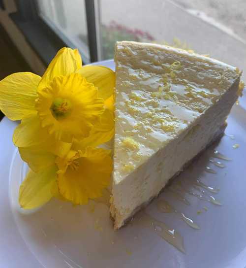 A slice of lemon cheesecake garnished with bright yellow flowers, placed near a window.