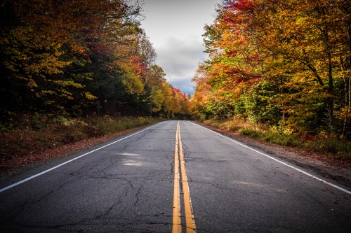 A scenic road lined with vibrant autumn trees in shades of red, orange, and yellow under a cloudy sky.