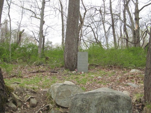 A gray tombstone stands among trees and rocks in a wooded area, surrounded by green underbrush.