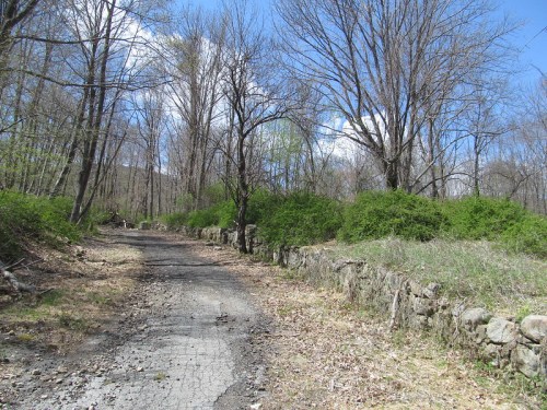 A winding dirt path through a wooded area, lined with stone walls and greenery under a blue sky with clouds.