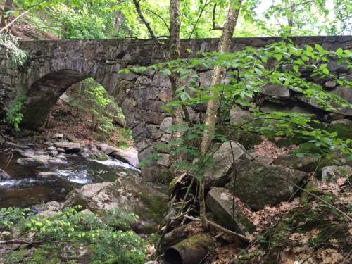 A stone arch bridge over a stream, surrounded by lush greenery and rocky terrain.