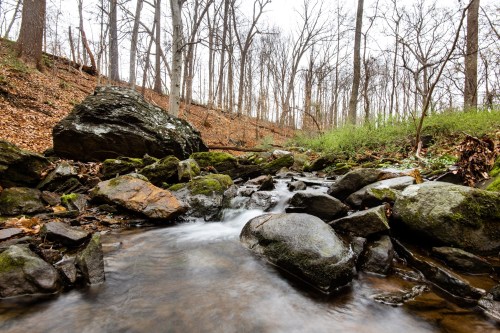 A serene stream flows over rocks in a wooded area, surrounded by bare trees and fallen leaves.