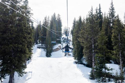 A ski lift surrounded by tall pine trees on a snowy slope, with a clear sky above.