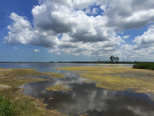 A serene landscape featuring a calm lake, grassy shores, and fluffy clouds reflecting on the water's surface.