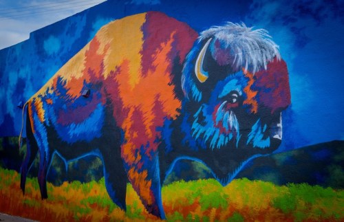 Vibrant mural of a bison in bold colors, set against a blue background with green grass.