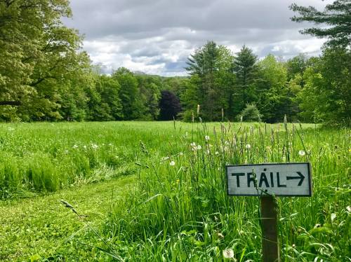 A grassy field with a sign pointing to a trail, surrounded by trees under a cloudy sky.