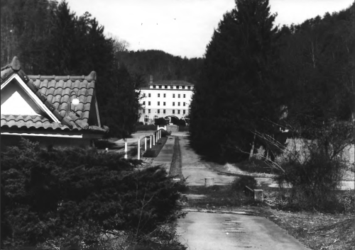 A pathway lined with trees leads to a large building in the background, surrounded by nature. Black and white photo.