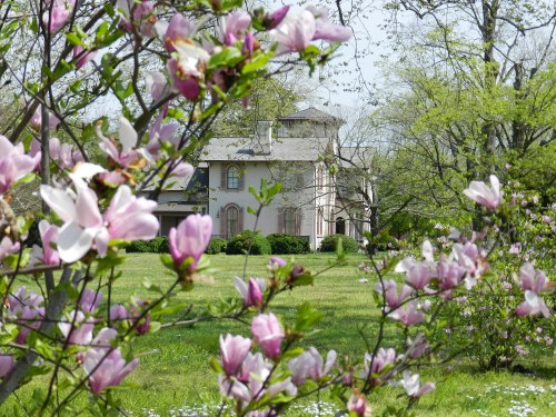 A charming house surrounded by blooming magnolia trees in a lush green landscape.