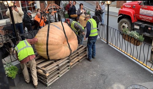 Two workers in vests lift a giant pumpkin onto a pallet, while onlookers watch and a truck is parked nearby.