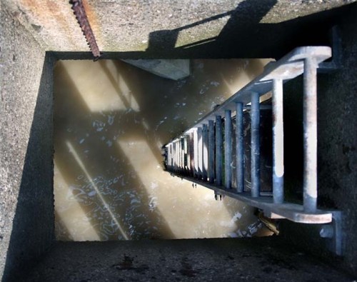 A metal ladder descends into a murky, water-filled well, with shadows cast on the concrete walls.