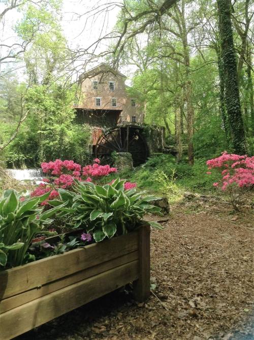 A historic mill surrounded by lush greenery and vibrant pink flowers in a serene natural setting.