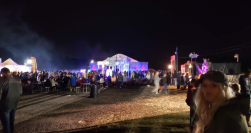 A lively night scene at a festival with crowds, colorful lights, and a large building in the background.