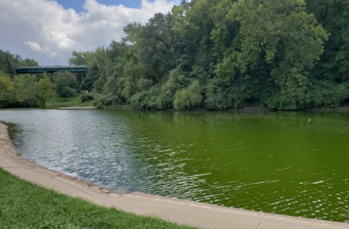 A serene green pond surrounded by lush trees under a partly cloudy sky.