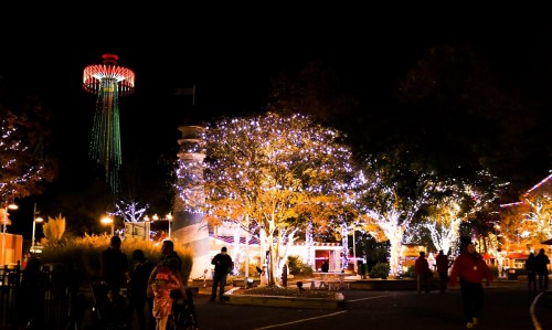 A festive night scene with colorful lights on trees and a tall amusement ride in the background.