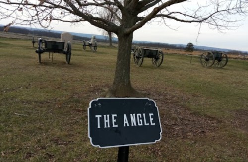 A sign reading "The Angle" in a grassy area with historical cannons and a bare tree in the background.