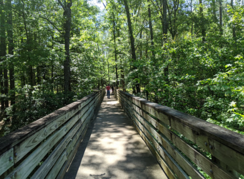 A wooden walkway through a lush green forest, with a person walking in the distance.