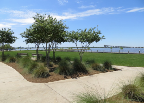 A scenic park with trees, grass, and a pathway leading to a waterfront view under a clear blue sky.