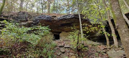 A rocky overhang surrounded by trees and greenery, with a small entrance visible in the background.