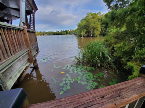 A wooden dock extends over a calm lake, surrounded by lush greenery and lily pads. Cloudy sky in the background.