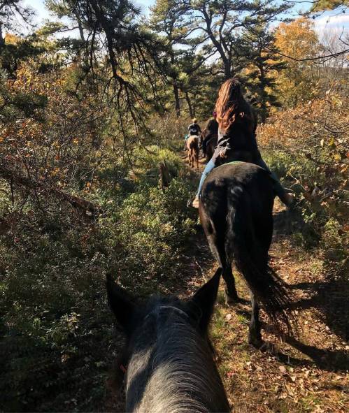 A view from horseback on a wooded trail, with riders ahead surrounded by autumn foliage.
