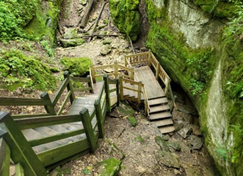 Winding wooden stairs lead down through a lush, green canyon with moss-covered rocks and trees.