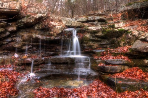 A serene waterfall cascades over rocky terrain, surrounded by autumn leaves and a tranquil forest backdrop.