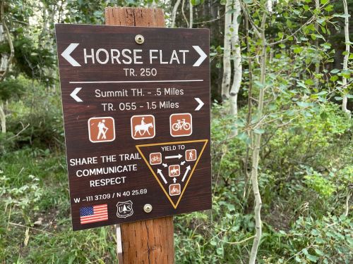 Trail sign indicating directions to Horse Flat, Summit TH, and TR 055, with symbols for hikers and horseback riders.