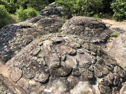 Rocky terrain featuring rounded, moss-covered boulders surrounded by greenery and trees.