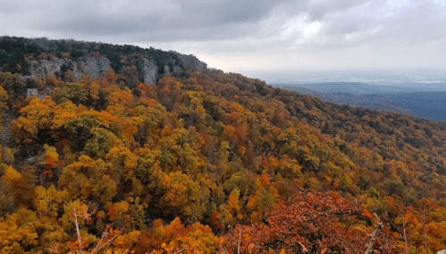 A scenic view of a mountainside covered in vibrant autumn foliage, with a cloudy sky above.
